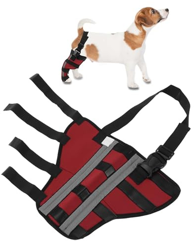 CAPASTEC Hinterbein Stützbandage, Rot, 1 Stück, Nach OP, Atmungsaktiv | SBR Material, Für Hunde, Größe M, Beinumfang 29-32cm, Gelenkumfang 17-20cm, Fußöffnung 13-16cm, Beinhöhe 25cm