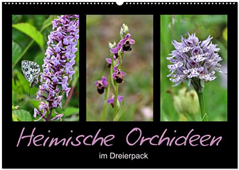 Heimische Orchideen im Dreierpack (Wandkalender 2026 DIN A2 quer), CALVENDO Monatskalender: Zart, zierlich, zauberhaft (CALVENDO Natur)