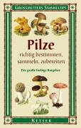 Pilze richtig bestimmen, sammeln, zubereiten: Der grosse farbige Ratgeber. Grossmutter Sammeltips