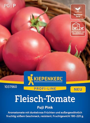 Kiepenkerl Fleisch-Tomatensamen Fuji Pink 1037960, Gemüsesaat | Fruchtgewicht 180-220 g, aromatisch, Wuchshöhe ca. 150-200 cm, für Freiland, Gewächshaus & Topf