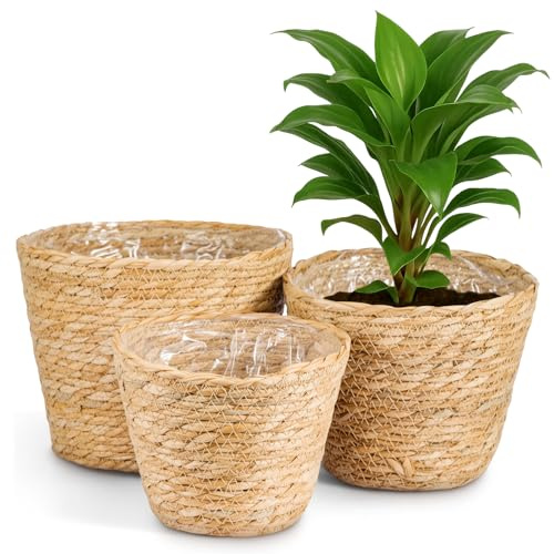 GREENSAPPIRE 6PCS Wicker Plant Pots Seagrass Covers for Indoor Plants Brow | Decorative Planter Holders, Natural Texture, Elegant Flowerpot Display for Living Rooms, Balconies, Patios and Garden Areas