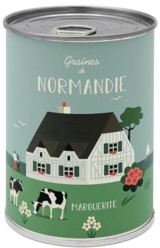 Mauvaises Graines© - Kit de Graines de Marguerites à Semer - Idée Cadeau Original Femme Homme Amis Famille Anniversaire Collegue Fêtes - Ultra Simple à Utiliser - 100% Fabriqué en France