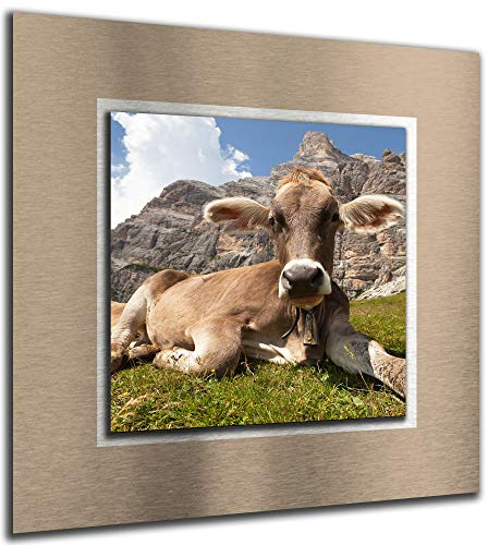 Bilder-Manufaktur 3D Wandbild Wandbilder auf Alu Verbundmaterial Bild Bilder Alm Kühe Berge Natur Landschaft 50 cm x 50 cm MF27-BA-bm-7995-1Ba-5050