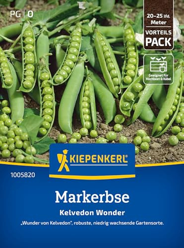 Kiepenkerl Markerbsensamen Kelvedon Wonder 1005820 - Robuste Sorte für kleine Gärten, Frischverzehr & Einfrieren, 10 cm Hülsen, Erbsensamen für 20-25 lfd. Meter