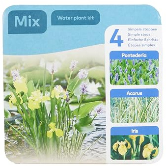 Bloomique - Lot de 3 Plantes de Bassin - Pontédérie - Acorus - Iris