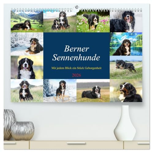 Berner Sennenhunde - Mit jedem Blick ein Stück Geborgenheit (hochwertiger Premium Wandkalender 2026 DIN A2 quer), Kunstdruck in Hochglanz: Bilder die Herz und Seele berühren (CALVENDO Tiere)