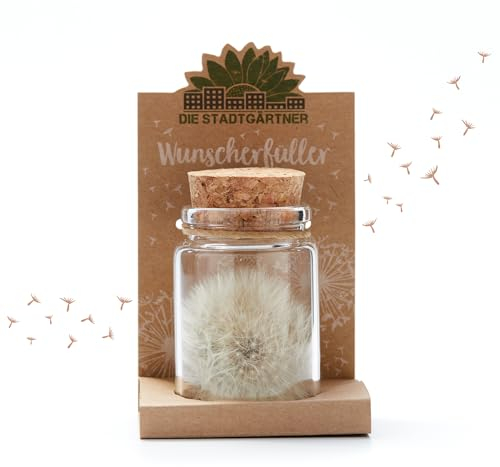 Die Stadtgärtner – Wunscherfüller I Echte Pusteblume im Glas I Ewig haltbar I Perfekte Geschenkidee für jeden Anlass I Geschenke für Frauen & Freundin