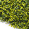 TENAX Divy Panel Buxus 0,50 x 0,50 m Verde-Amarillo, Panel Modular con Hojas Artificiales Tipo Boj para Decoración de Pared Jardín Vertical