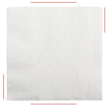 600 Tovaglioli in carta Pura Cellulosa Doppiovelo Bianchi 25x25 (Aperto) 12x12 (Chiuso) - Confezione da 600 Pezzi - Purezza Ecosostenibile