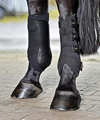 BUSSE Damasker DRESSAGE-PRO