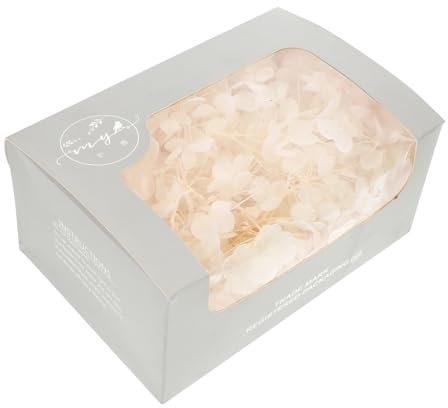 Cabilock Kit Di Fiori Secchi Veri Di Ortensia Bianca Da 20 G Materiale Decorativo Naturale Per Fiori Secchi