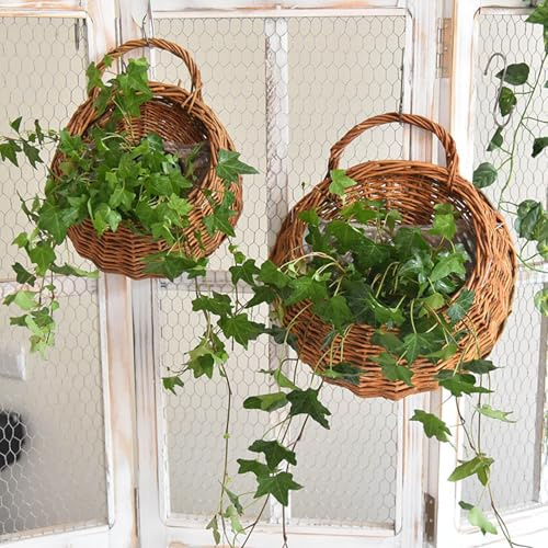 Monsully Cesta Colgante Tejida de Mimbre, Cesta de Flores de Ratán para Colgar En La Pared Jardinera Colgante de Pared Colgante Maceteros Ratan de Madera para Decoración de Pared del Hogar, Jardín
