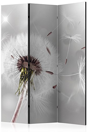 RAUMTEILER/PARAVENT B&D XXL - Pusteblume, 135x172 cm, 3-teilig, Wohnzimmer | Mobiler Sichtschutz, sofort einsatzbereit, Holzrahmen, ideal fürs Wohnzimmer oder Büro, geruchsneutral, lichtbeständig
