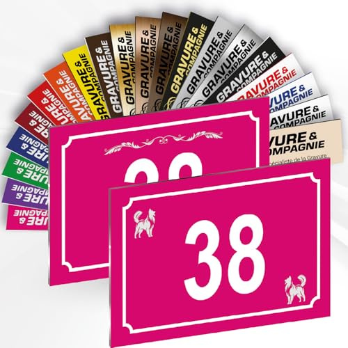 Hausnummer Schild – Dekorative personalisierte PVC Außenplatte mit gravierter Nummer & Motiv – Befestigung nach Wahl (Klebefolie oder Schrauben) – 15 x 10 cm (Rosa + Design)