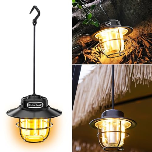 Lampada da campeggio a LED, portatile, ricaricabile, USB, sospensione, intensità regolabile continuamente 1300-6500 K, lampada a sospensione retrò, lampade da campeggio IPX4, impermeabili per