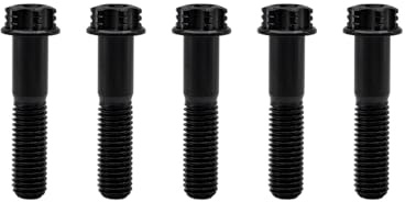 RISON-Titanium Titanschrauben M6x1.0x25mm, 5 Stück Flanschschraube Torx Kopf Flansch Schrauben Sechskantschrauben Gewindeschrauben GR5 Titanbolzen Befestigungen für Motorräder Fahrrad Auto