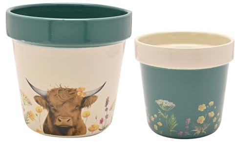 Widdop and Co Country Living Set of 2 Planters - Flower Pots for Plants | Cute Flowerpot for Garden, House, Living Room, Office, Small Indoor & Outdoor Gardening Gifting (Cream / Blue - Highland Cow)