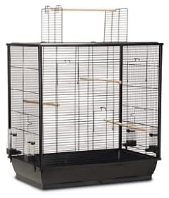 Vogelkäfig extra groß XXL 'FIONA Open' 70x40x80 cm schwarz