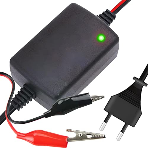 Retoo Chargeur de Batterie 12V 1.5A Chargeur de Batterie Gel Voiture pour Voitures Classiques, Motos, Scooters, tondeuses à Gazon, Bateaux, camions, Voitures, caravanes, Batteries de Voiture