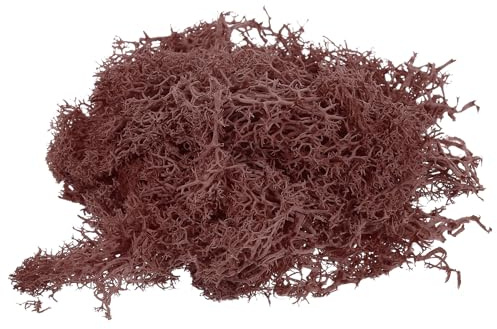PATIKIL 1.8 OZ Falso Musgo Conservado Reno Musgo Artificial Musgo Liquen Mesa Centros Decoración Imitación Musgo para Maceta Plantas Navidad Artesanía Vino Rojo