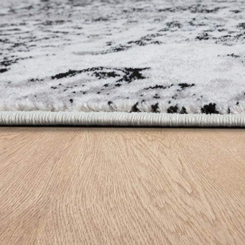 Paco Home Designer Teppich Wohnzimmer Teppiche Ornamente Vintage Optik Schwarz Weiß, Grösse:80x150 cm
