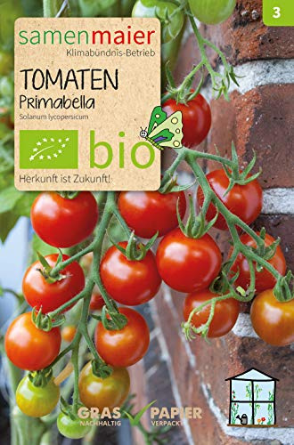 BIO Tomaten Primabella Samen - Robuste, aromatische Cocktailtomaten - Fruchtig, süß mit feiner Säure - Aussaat Februar bis April - Inhalt ca. 8 Korn - Samen Maier