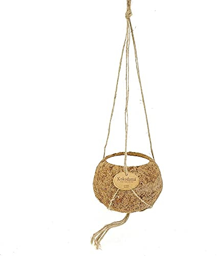 exotenherz Kokodama - Leerer Ampeltopf zum Hängen - 12cm