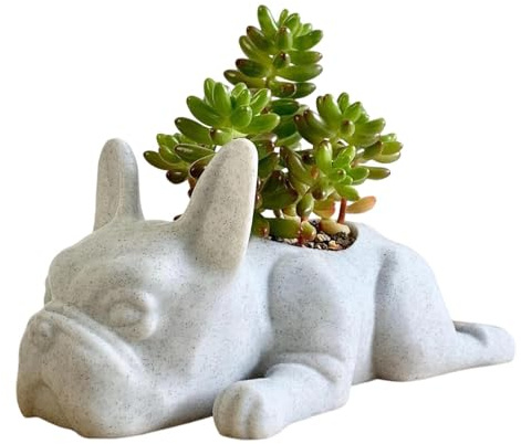 Pots de succulentes pour Chiots - Pot de Fleurs en Forme de Bouledogue français - Pot de Fleurs pour succulentes avec Chiens - Pot de Fleurs en résine pour succulentes - Ka