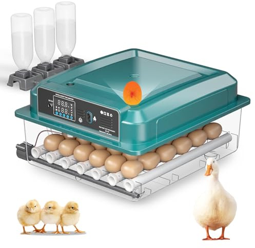 36 Eier Brutautomat Vollautomatisch, Inkubator, Verstellbares Eierfach, Mit Automatischem Eierwenden & Wasserzugabe & Temperaturregelung, Eingebaute Eierbeleuchtungsfunktion, Vier Brutmodi (A)