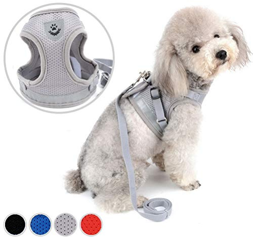 Zunea No Pull Dog Harness for Small Dog Cat Reflective Breathable Soft Mesh Padded Step-in Vest Harnesses Leash Set, Puppy Kitten Lead Escape Proof for Daily Walking Gray XS