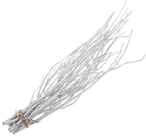 ZUNOXAZ 10 Stück Weiße Zweige als Vasenfüller für Deko | Zweige Deko, Dekorative Getrocknete Zweige, 50cm Länge, 10stücke für Blumenarrangement
