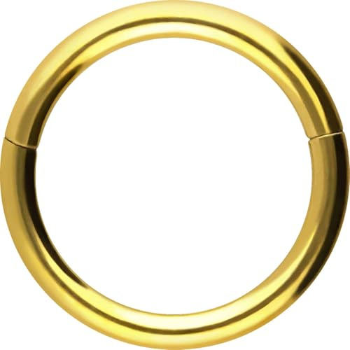 PIERCINGLINE Segmentring Clicker aus Chirurgenstahl - Piercing Ring in Gold, Silber, Rose, Schwarz oder Blau - für Nase, Septum, Ohr, Helix oder Tragus