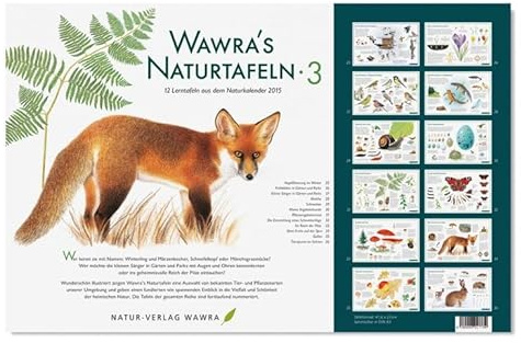 Wawra´s Naturtafeln Set 3 - mit 12 Lerntafeln im A3-Format zum Entdecken, Beobachten, Bestimmen - 41,6 x 27 cm