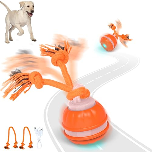 Iokheira Juguete Interactivo para Perros: Pelota interactiva para con Movimiento automático, Pelota para Recargable, Material de TPU Duradero, Adecuada para Perros aburridos y ansiosos