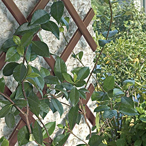 busybee 2 enrejados de plástico para jardín (180 x 40 cm, 1,8 m), color marrón