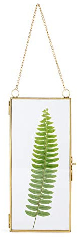 NCYP Glass Picture Frame, Wall Hanging Certificate Photo Plant Specimen Clip - 23x10.5cm - Gold Clear Vertical Decor Card Holder, Modern Home Display, Glass Frame Only