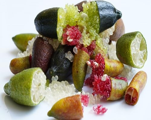 70 graines de citron vert mélangées