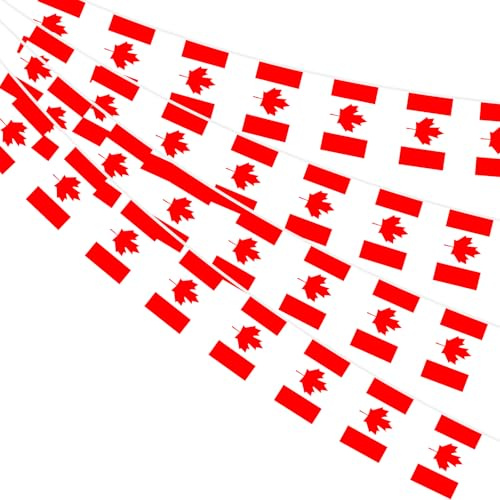 AhfuLife 2 Pezzi Canada Bandiera Bunting 30pcs Bandiere, 14× 21 cm-10m Doppio Lato Rettangolare Canada Banner Tessuto per Coppa del Mondo, Calcio Casa, Giardino, Festa e Partito