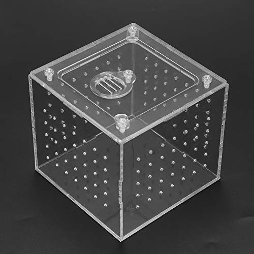 Transparente Reptilien-Betrachtungsbox, Acryl-Reptilien-Zuchtbox, Hohe Materialqualität, 360-Grad-volle Ansicht, Leicht zu Tragen, 3,9 X 3,9 X,5 Zoll, für Tarantulas, Geckos, Crickets, Crickets,