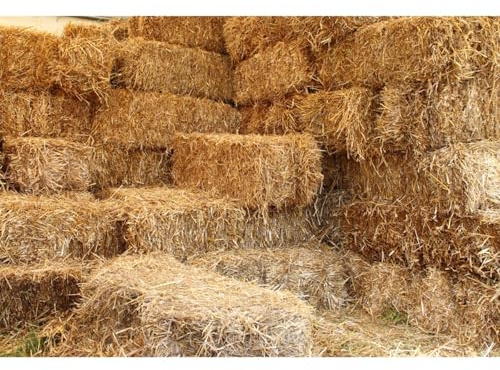 YongFoto 2,2x1,5m Vinilo Fondo de Fotografia Campo Ganado Paja De Textura De Arroz Seco Fardos De Heno Cubes Telón de Fondo Photo Booth Party Niños Photo Studio Props