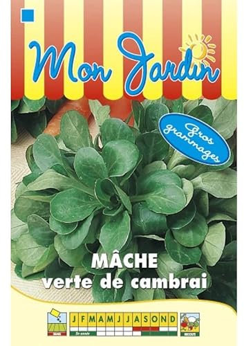Sachet de graines de Mâche verte de Cambrai GROS GRAMMAGE - 12 g - légume feuille - LES GRAINES BOCQUET