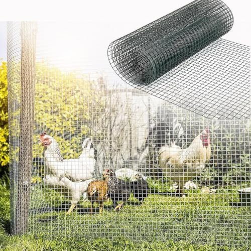 Treillis Plante Grimpante Exterieur, Grillage Cloture, Grillage de Poulet, Rouleau de Grillage soudé et Fil métallique Gopher, Treillis Métallique Soudé en Acier Inoxydable 304 (Taille : 0.5mx10m, C