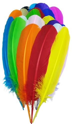 Fenisonavy Federn zum Basteln Truthahnfedern 25-30cm 24pcs Naturfedern für DIY Handwerk, Art Design, Basteln Karneval Rosen Montag Halloween Fest Versch (Farbmischung)