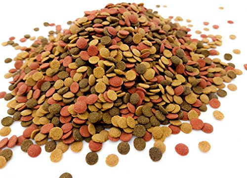 HERONS - Mini Wafer Mix - 5 mm Sinking Wafers with Spirulina - For All Bottom Feeding Fish - Rich in Vitamin C and Fiber - Immune Support - Enhance Colour and Improves Digestion - 100 Grams