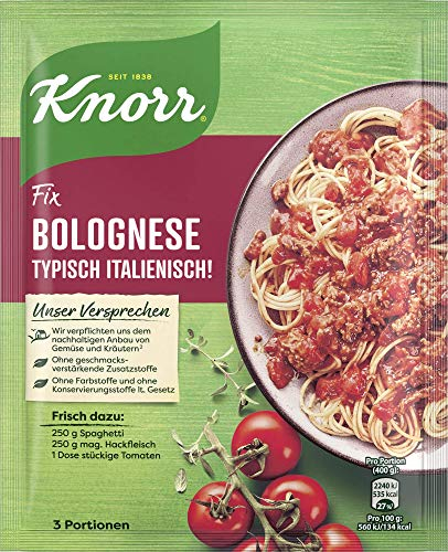 Knorr Fix Würzmischung Bolognese Typisch Italienisch! für ein leckeres Nudelgericht ohne geschmacksverstärkende Zusatzstoffe 42 g 1 Stück