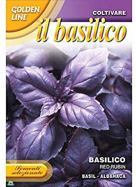 SEMENTI DI BASILICO VIOLA RED RUBIN viola orto semi seeds giardino