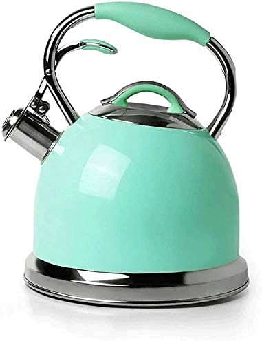 ZHANGZONG wasserkocher Edelstahl wasserkocher klein Kettle Teekocher,Pfeifenkessel aus Edelstahl,Kaffeemaschine mit großem Fassungsvermögen 2.6L.Für Zuhause und Restaurant,Büro.8.5