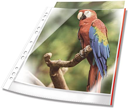 Durable Prospekthülle Premium mit farbigem Rand A4 glasklar PP 100 Stück, rot, 265403