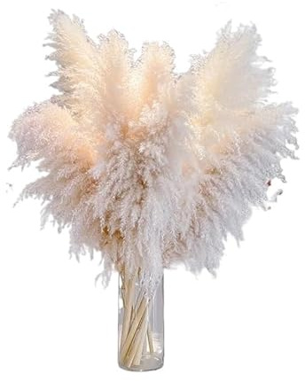 ApuaVireo&Co Pampasgräs Stor 120 cm Stor Pampasgräs Naturliga Torkade Blommor for Bröllopsdekoration Dekor Hem Fest Grönt Vardagsrum Konstgjorda