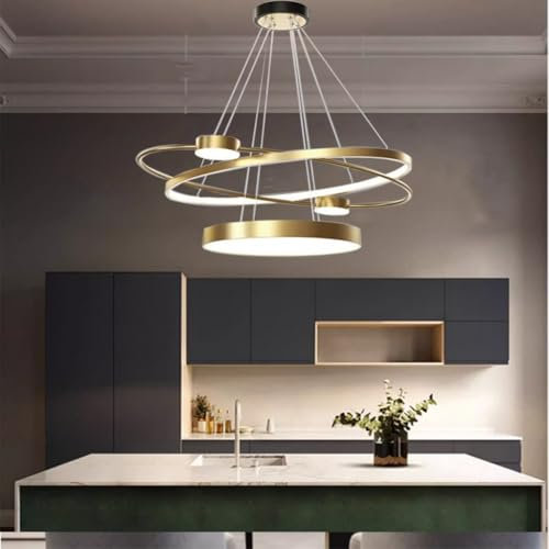 Trutipon Moderne LED dimmbare Fernbedienung kreisförmige Pendelleuchte 3000k-6000k Aluminiumlegierung Material passend für Wohnzimmer und Zimmer(80cm)